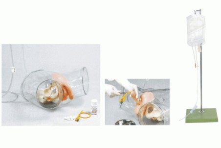 点击浏览下一页