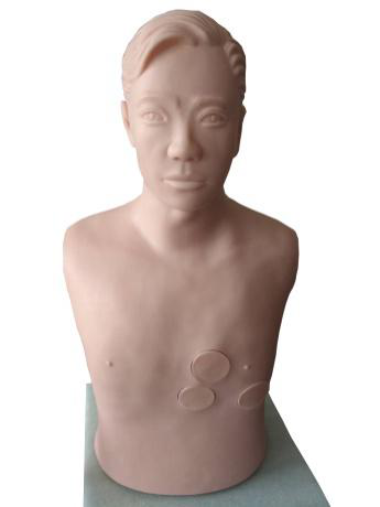 心包穿刺与心内注射仿真电动模型