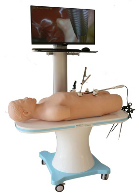 腹腔镜手术技能训练系统