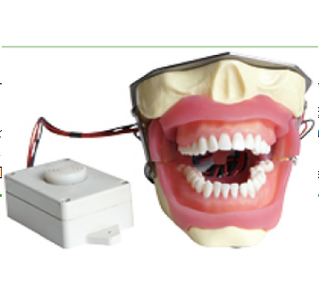 蜂鸣器麻醉拔牙模型