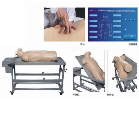 高级综合穿刺术与叩诊检查技能训练模拟人