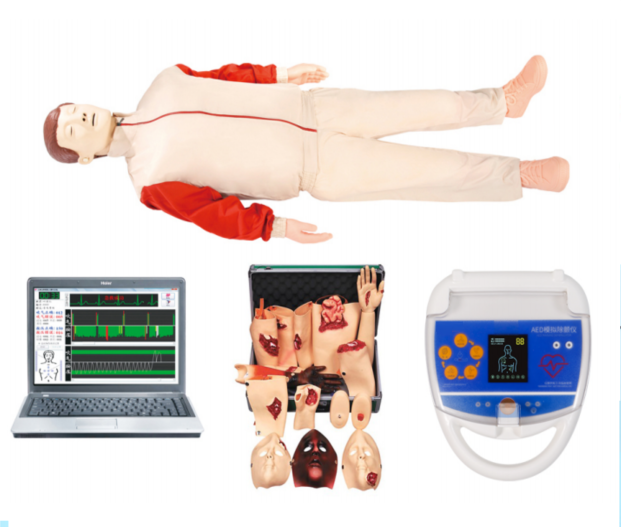 高级心肺复苏AED除颤、创伤模拟人