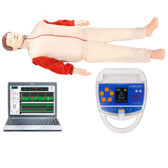 高级心肺复苏、AED除颤模拟人（计算机控制、二
