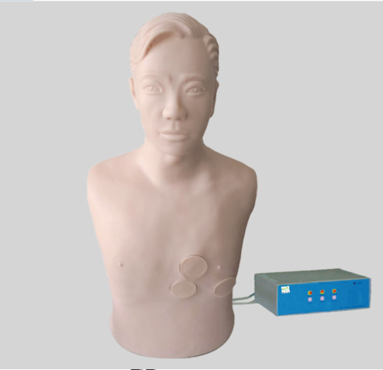  肝脓肿穿刺与胸腔穿刺电子标准化病人电动模型