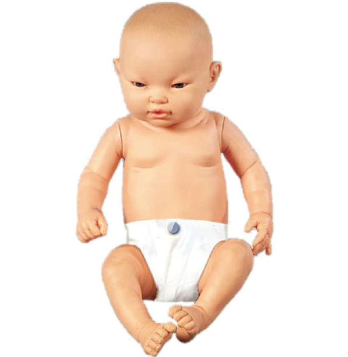 高智能婴儿模拟人YR-FT330