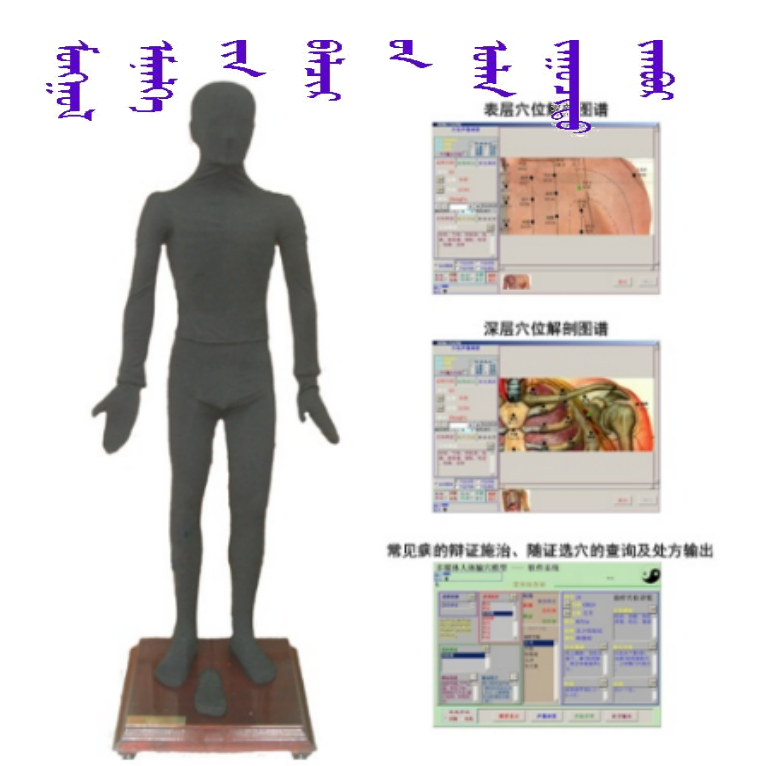 蒙医人体按摩经络穴位模型