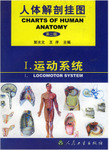 人体解剖挂图 九大解剖系统(260张)