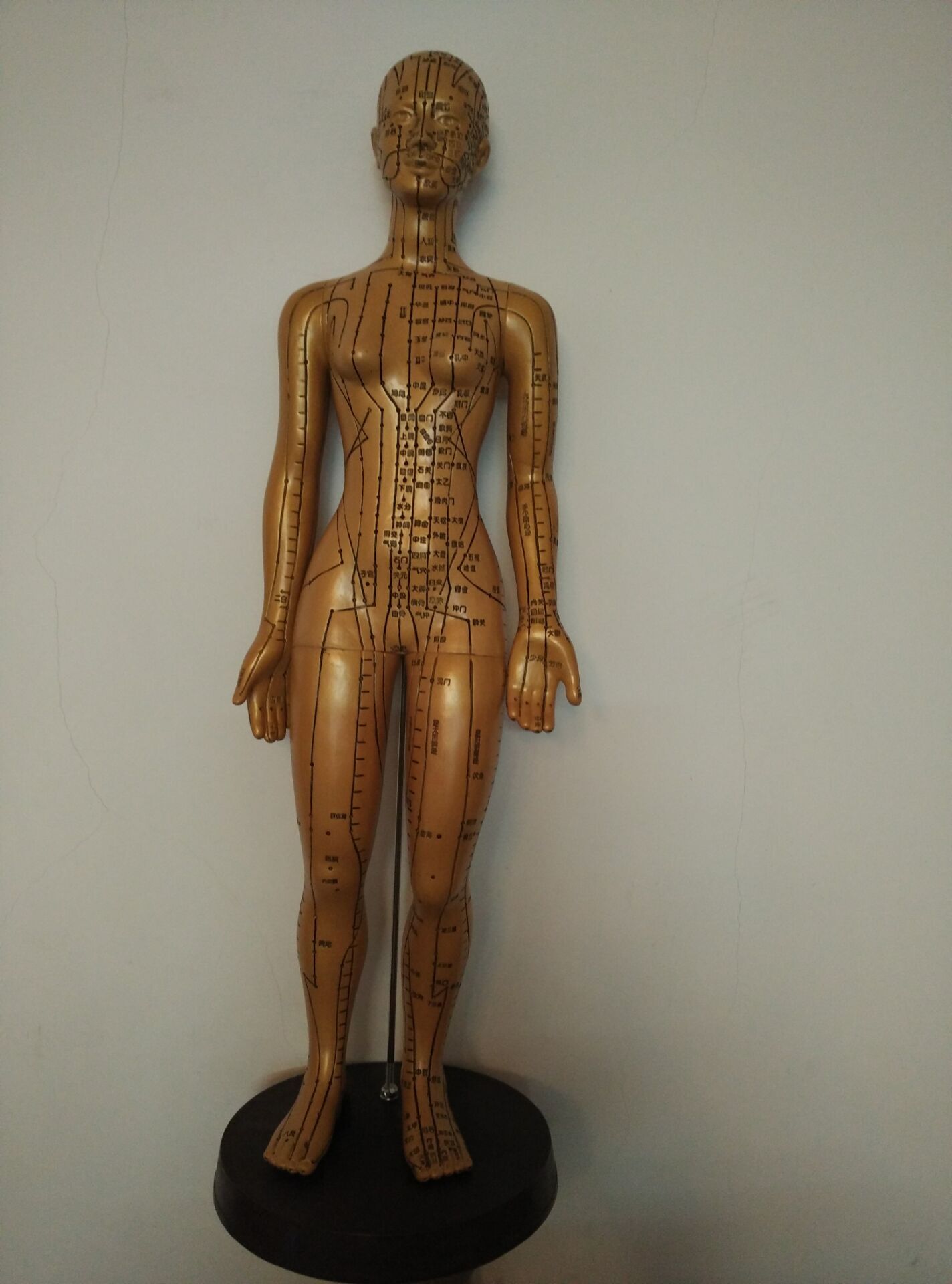 激光雕刻针灸铜人模型(女）