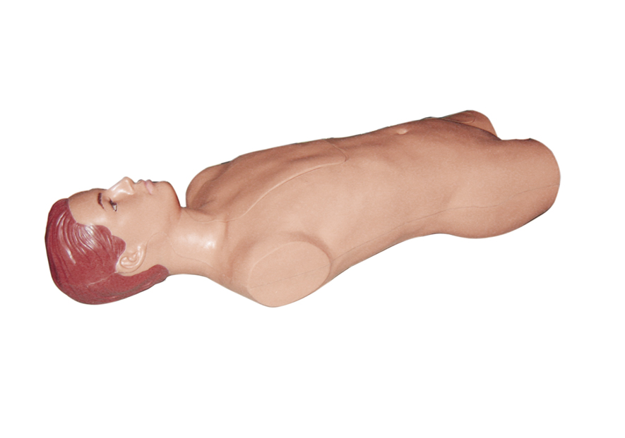 腹腔与股静脉穿刺电动模型