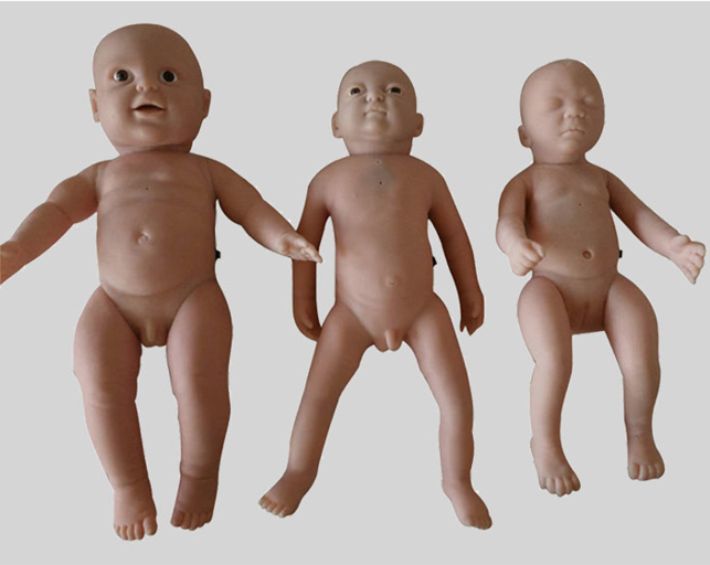 新生儿生长发育指标测量标仿真模型